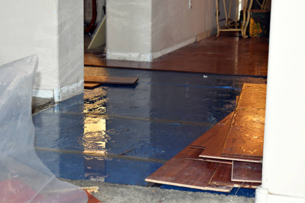 Professional Flood Damage Repair technician working in Fife, WA